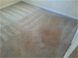 Area Rug Cleaning Augusta Ga Carpet Cleaning before & after â Augusta, Ga Mr. Steam Carpet …