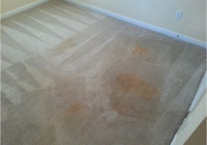 Area Rug Cleaning Augusta Ga Carpet Cleaning before & after â Augusta, Ga Mr. Steam Carpet …