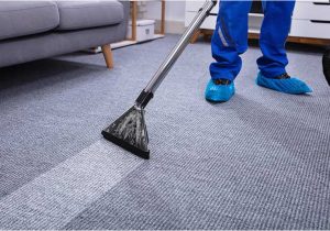 Area Rug Cleaning Augusta Ga Home – Carpet Cleaning Augusta Ga