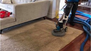 Area Rug Cleaning Beaverton oregon Carpet Cleaning Beaverton or – Nicholas Carpet Care Llc