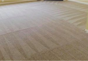 Area Rug Cleaning Beaverton oregon Carpet Cleaning Portland or – Nicholas Carpet Care Llc