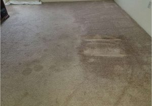 Area Rug Cleaning Beaverton oregon oriental & area Rug Cleaning Service In Hillsboro Portland Nw …