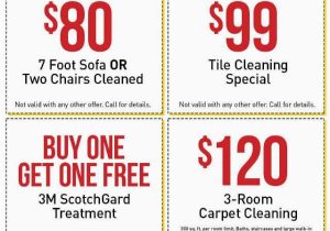 Area Rug Cleaning Birmingham Al Alabama’s Premiere Carpet Cleaners : Sanitary Rug Cleaning
