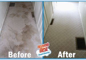 Area Rug Cleaning Birmingham Al Carpet Cleaning Services, Pet Odor Removal In Birmingham, Mountain …