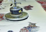 Area Rug Cleaning Boca Raton area Rug Cleaning Boca Raton – Azhar’s oriental Rugs Washing …