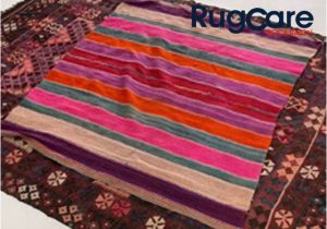 Area Rug Cleaning Boca Raton Best Of area Rug Cleaning Company In Boca Raton Rug Cleaning …