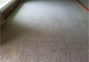 Area Rug Cleaning Boca Raton Carpet Cleaning Boca Raton – Carpet Cleaning Miami