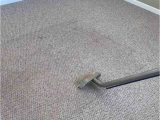 Area Rug Cleaning Boca Raton the #1 Carpet Cleaning In Boca Raton, Fl 5-star Rated Service