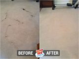 Area Rug Cleaning Bowling Green Ky Heaven’s Best Of Bowling Green – Dry In 1 Hour