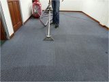 Area Rug Cleaning Buffalo Ny Carpet Cleaning Buffalo Ny Local Buffalo Cleaners Free Quotes