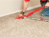 Area Rug Cleaning Cary Nc Carpet Cleaning Cary Local Carpet Cleaner Near Me Nc