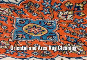 Area Rug Cleaning Charleston Sc Citrus Fresh Carpet & Rug Cleaning Services In Charleston Sc …