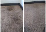 Area Rug Cleaning Chico Ca Chico Ca â Tarantino Carpet Cleaning