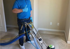 Area Rug Cleaning Companies Near Me Carpet Cleaning Wilsonville, or – Nicholas Carpet Care Llc