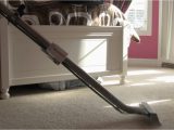 Area Rug Cleaning Coral Springs Carpet Cleaning Coral Springs, Parkland, Boca Raton, Fl Prime …