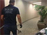 Area Rug Cleaning Coral Springs Office Cleaning Coral Springs, Fl Parkland, Boca Raton Prime …