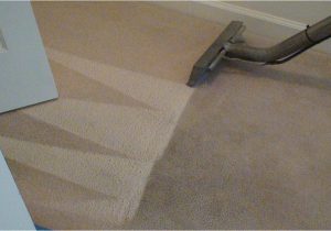 Area Rug Cleaning Coral Springs Prime Steamers – Carpet Cleaning Coral Springs Fl 954-496-2289 …