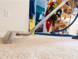 Area Rug Cleaning Denver Co Reliable Rug Cleaning In Highlands Ranch Co area