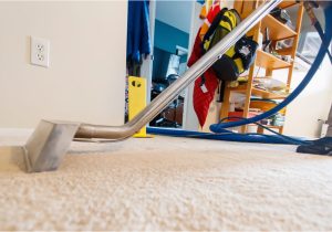 Area Rug Cleaning Denver Co Reliable Rug Cleaning In Highlands Ranch Co area