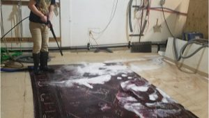 Area Rug Cleaning Denver Co Rug Cleaning Denver Co Chem-dry Of Colorado area Rug Cleaners