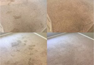 Area Rug Cleaning Fayetteville Ar before and after Carpet Cleaning Results! Fayetteville Ar