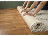 Area Rug Cleaning Greenville Sc Providing the Best Possible Cleaning Services In Greenville Sc and …