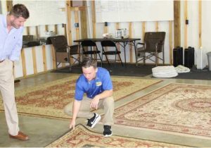 Area Rug Cleaning Huntsville Al Carpet Cleaning In Huntsville, Al Safe-dryÂ® Carpet Cleaning