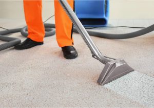 Area Rug Cleaning Huntsville Al Carpet Cleaning In Huntsville, Al Safe-dryÂ® Carpet Cleaning