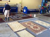 Area Rug Cleaning Jacksonville Fl area Rug Cleaning Advice for Pet Owners In Palm Coast, Fl …