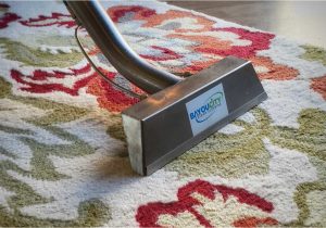 Area Rug Cleaning Katy Tx Houston Rug Cleaning Service