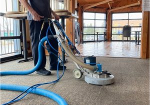 Area Rug Cleaning Lansing Mi Mccreary’s Healthy Homes – Carpet Cleaning Company Lansing, Mi
