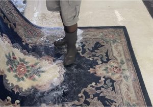 Area Rug Cleaning Las Vegas Nv Antique Rug Cleaning Services In Las Vegas Henderson Nevada …
