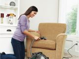 Area Rug Cleaning Machine Rental Little Green Pro Portable Deep CleanerÂ® Portable Deep Cleaner …