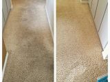Area Rug Cleaning Naples Fl Carpet Cleaning – Naples, Florida