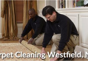 Area Rug Cleaning New Jersey Rug & Carpet Cleaning Westfield Nj – Bedrosian Industries