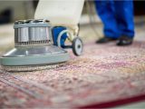 Area Rug Cleaning New Jersey Wool/oriental Specialist Cleaning – Certified Steamer
