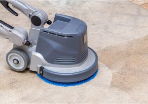 Area Rug Cleaning Olympia Wa Thurston County Carpet Cleaning Thurston County Carpet Cleaners …