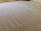 Area Rug Cleaning Portland or Carpet Cleaning Portland or – Nicholas Carpet Care Llc