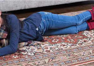 Area Rug Cleaning Richmond Va area and oriental Rugs Professional area Rug Cleaners