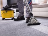 Area Rug Cleaning Roanoke Va Carpet and Upholstery Cleaning Business – Roanoke/salem, Virginia