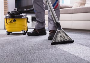 Area Rug Cleaning Roanoke Va Carpet and Upholstery Cleaning Business – Roanoke/salem, Virginia
