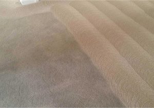 Area Rug Cleaning Roanoke Va Sci-tech Carpet Cleaning Get Clean Carpets today!