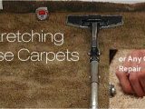 Area Rug Cleaning San Mateo Carpet Repair & Re-stretching San Mateo Carpet Cleaning, Carpet …