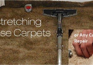 Area Rug Cleaning San Mateo Carpet Repair & Re-stretching San Mateo Carpet Cleaning, Carpet …