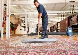 Area Rug Cleaning San Mateo Residential area Rug Cleaning In San Francisco Rug Cleaning Services