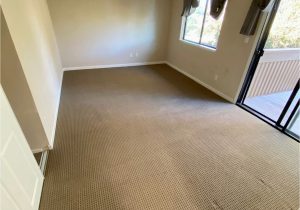 Area Rug Cleaning San Mateo Residential Carpet Cleaning On Deanza Blvd In San Mateo, Ca by …