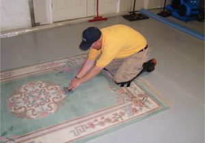 Area Rug Cleaning St Louis oriental Rug Cleaning â¢ Sams Carpet Cleaning In St. Louis and St …