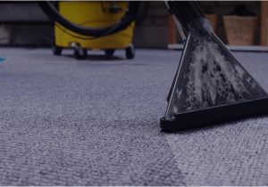 Area Rug Cleaning St Louis top 10 Best Carpet Cleaning In St Louis, Mo Angi