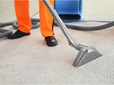 Area Rug Cleaning Syracuse Ny Carpet Cleaners Syracuse, Ny Carpet Cleaning Service