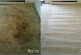 Area Rug Cleaning Tyler Tx Tyler Carpet Cleaning Company – Carpet Cleaning Service